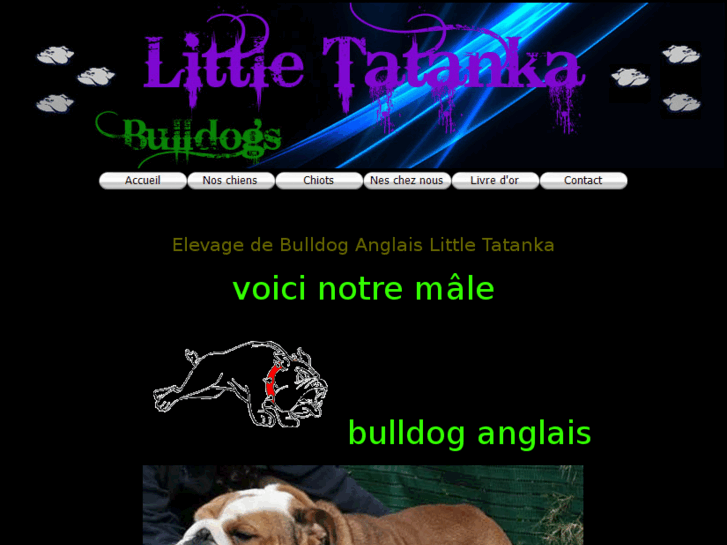 www.bulldog-bulldog.be