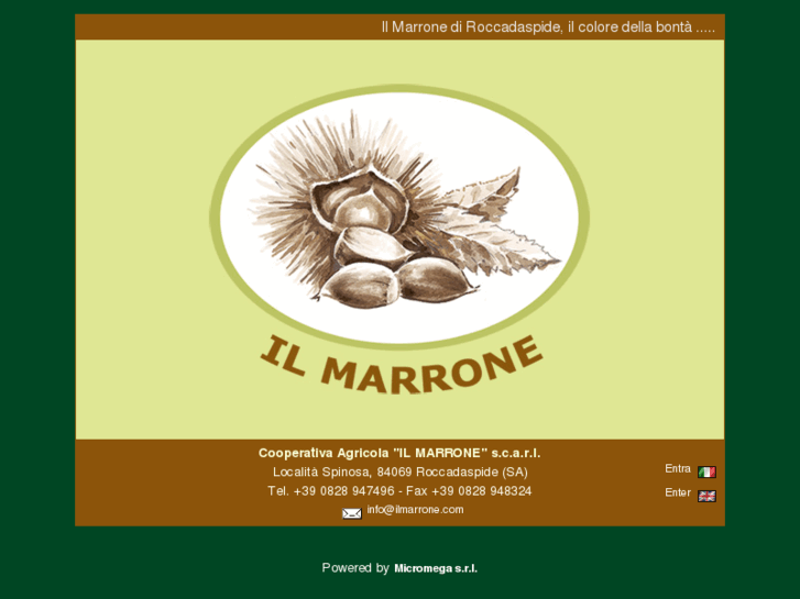 www.ilmarrone.com