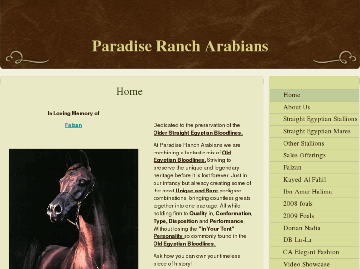 www.paradiserancharabians.com