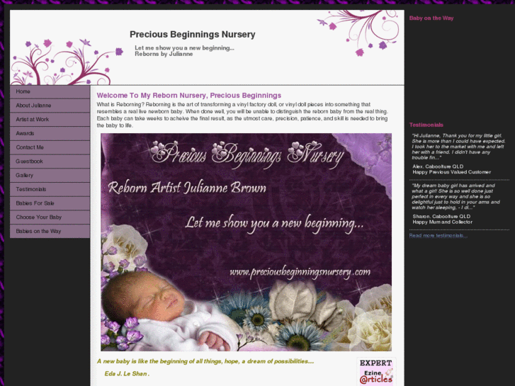 www.preciousbeginningsnursery.com