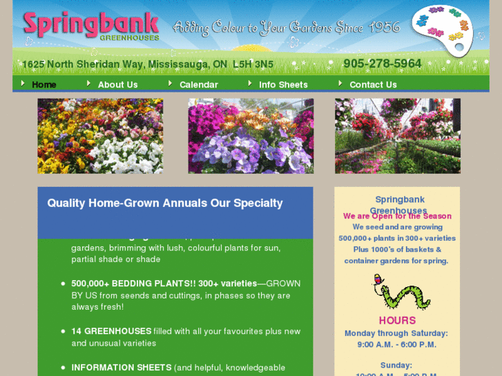 www.springbankgreenhouses.com