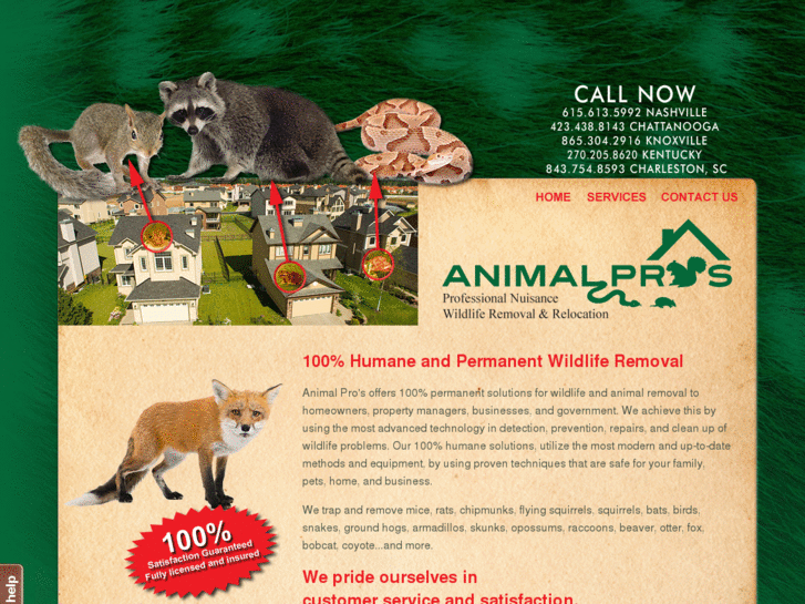 www.animalprosonline.com