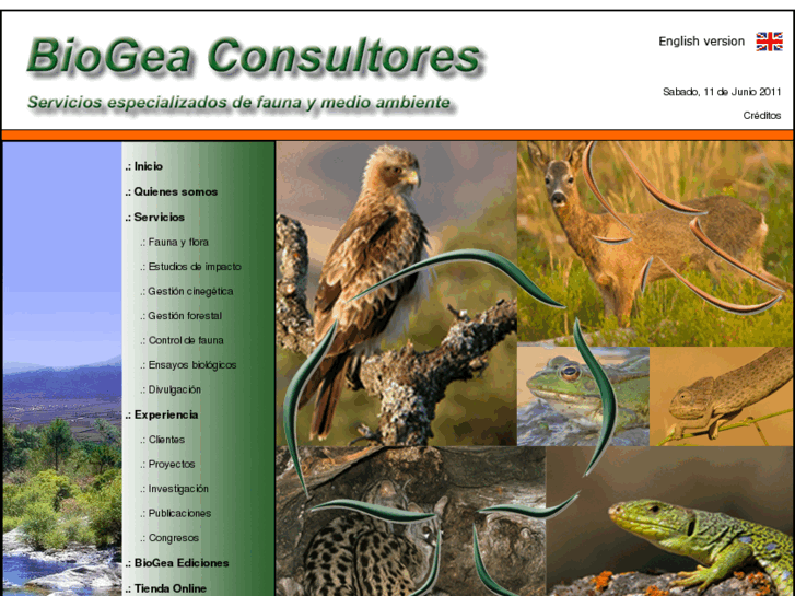 www.biogea-consultores.com