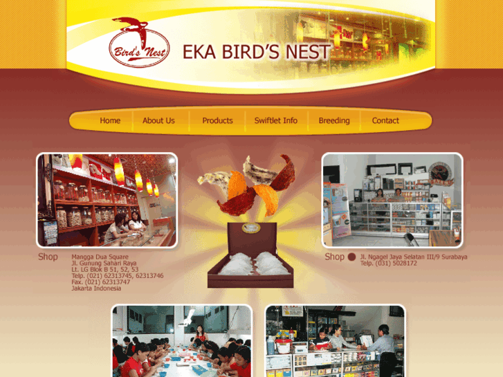 www.birdnest-eka.com