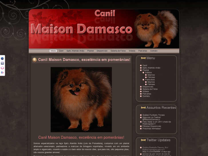 www.canilmaisondamasco.com