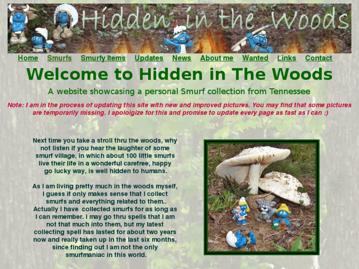 www.hiddeninthewoods.com