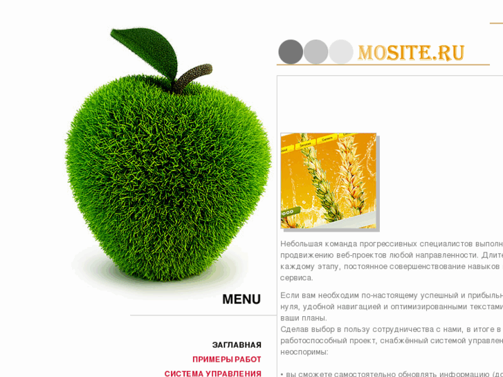 www.mosite.ru