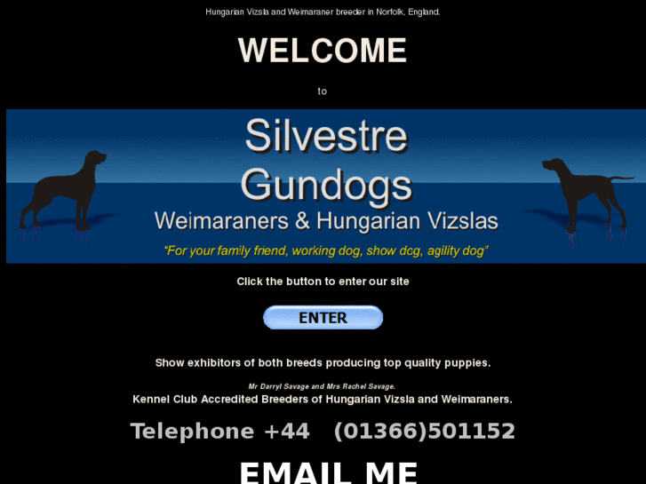 www.silvestre-gundogs.com