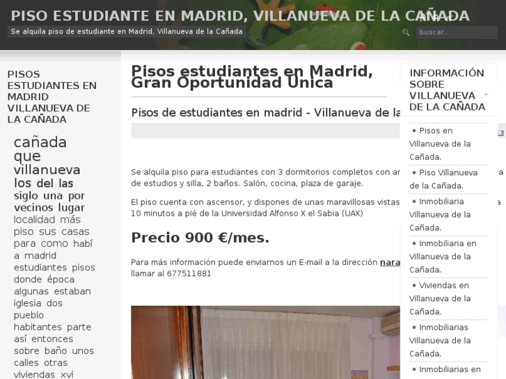 www.apartamentospisosmadrid.com