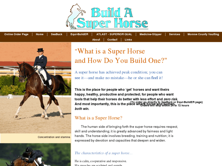 www.buildasuperhorse.com