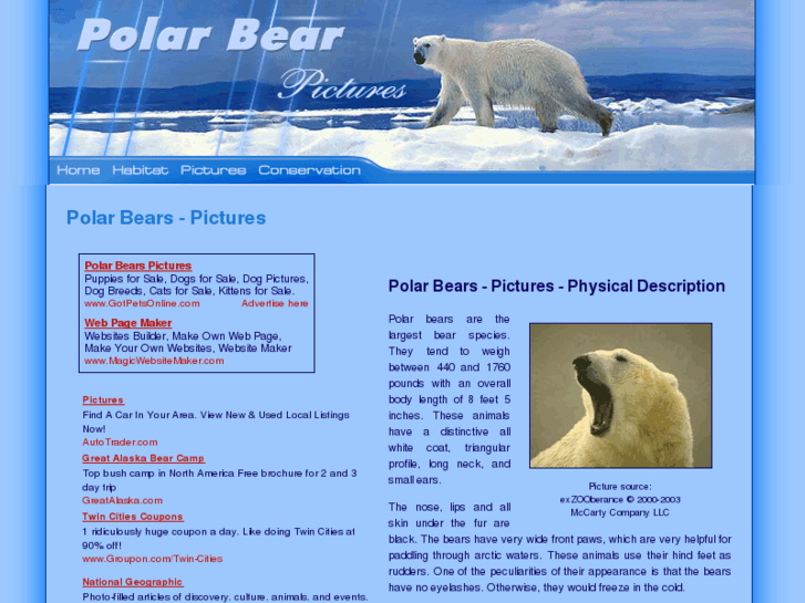 www.polar-bear-pictures.com