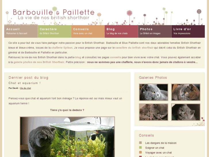 www.barbouille-et-paillette.com