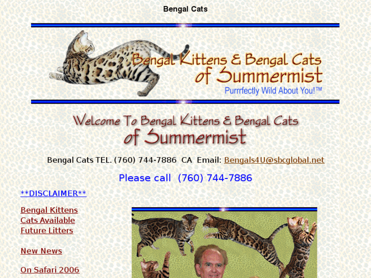 www.bengalkittens.org