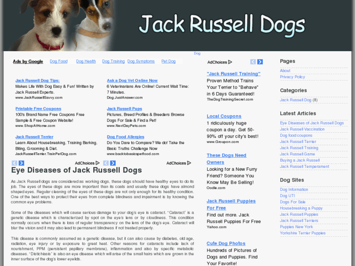 www.dogjackrussell.com