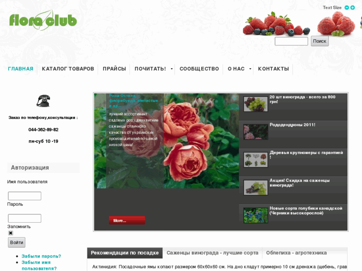 www.flora-club.com