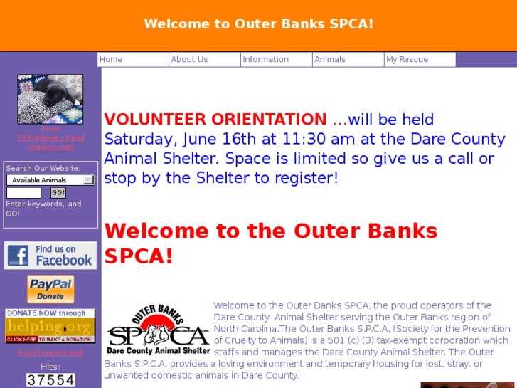 www.obxspca.org