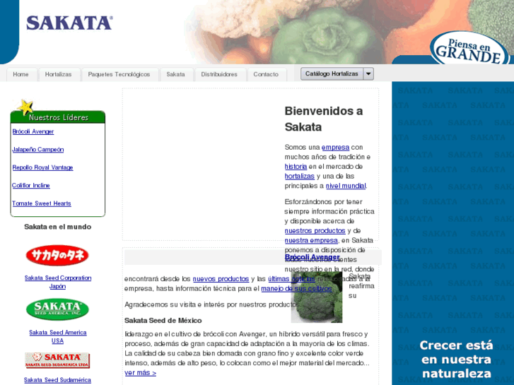 www.sakata.com.mx