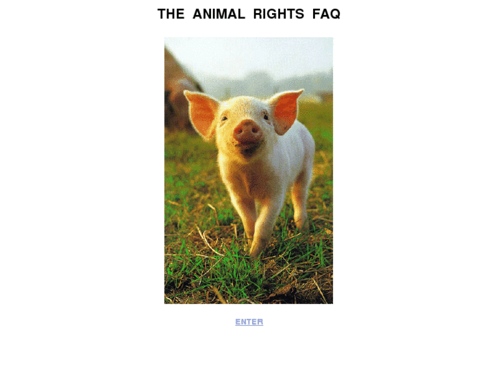 www.animal-rights.co.uk