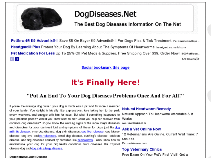 www.dogdiseases.net