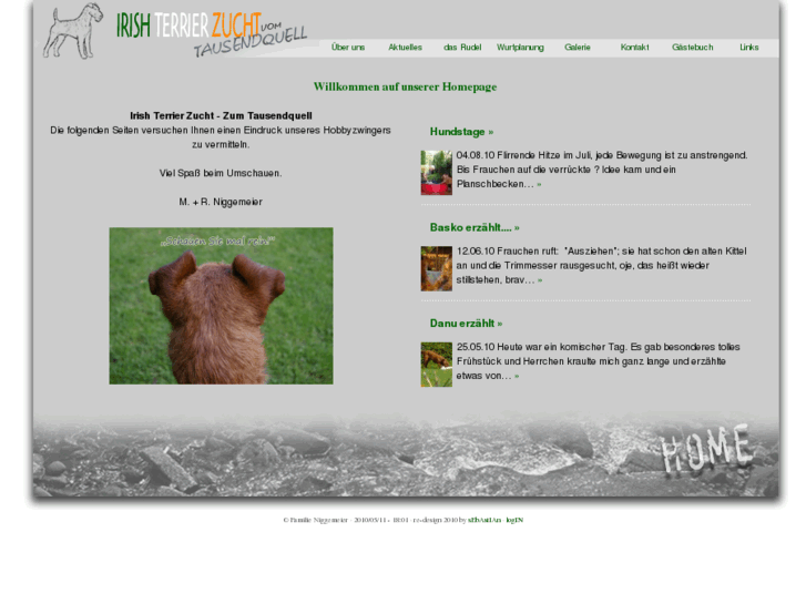 www.irish-terrier-pb.de