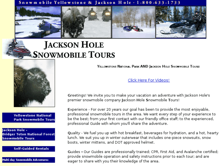 www.jacksonholesnowmobiles.com