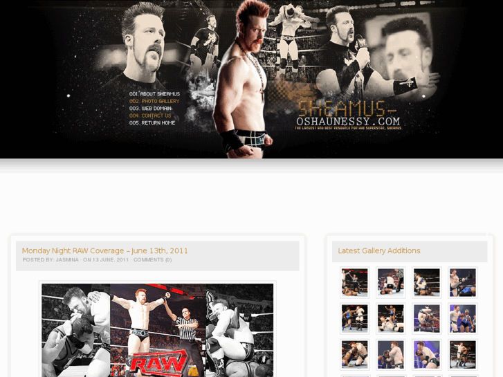 www.sheamus-oshaunessy.com