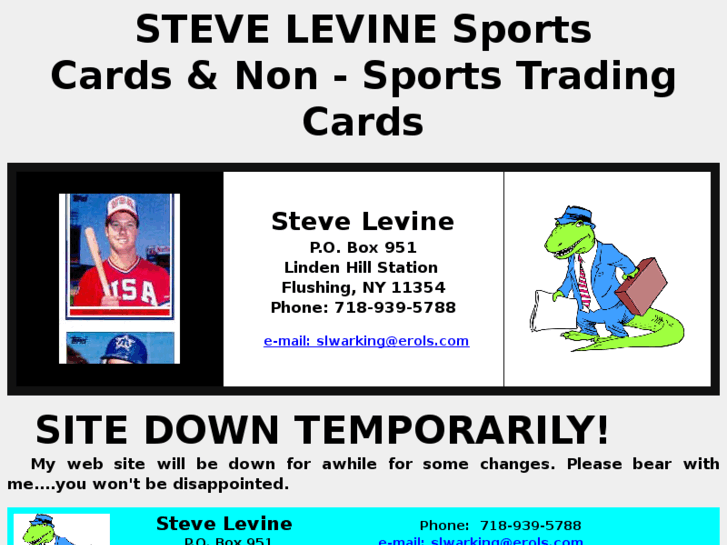www.stevelevinesportscards.com