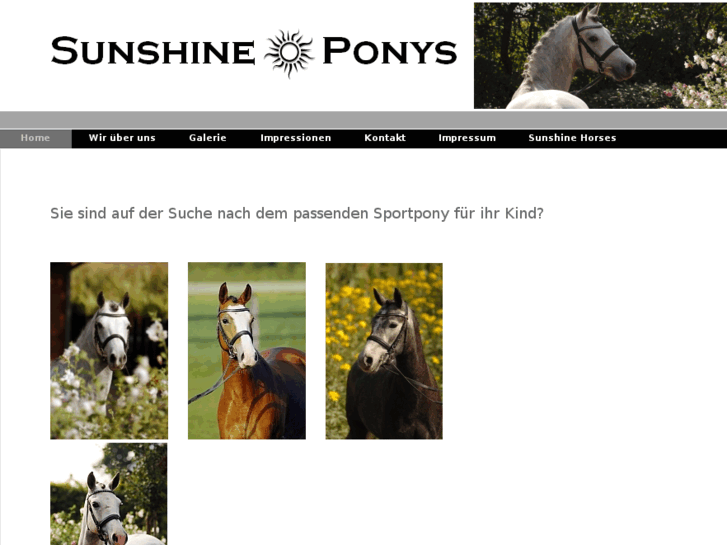 www.sunshineponys.de