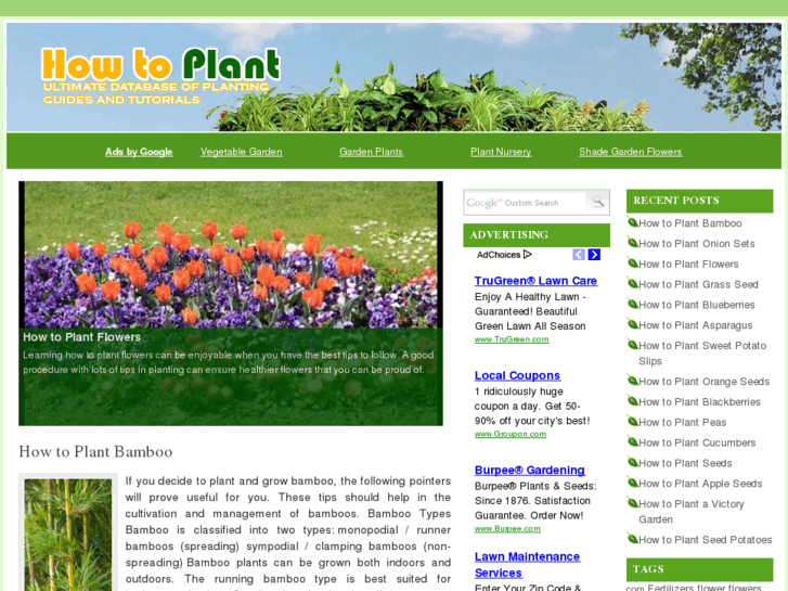 www.howtoplant.net