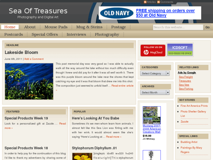 www.seaoftreasures.net