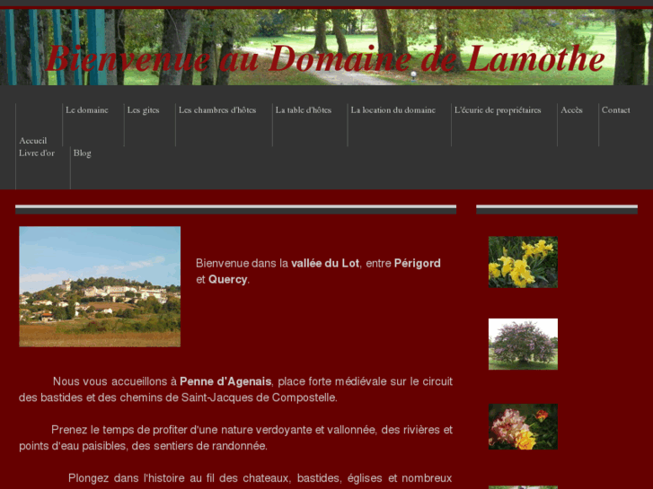 www.domaine-de-lamothe.com