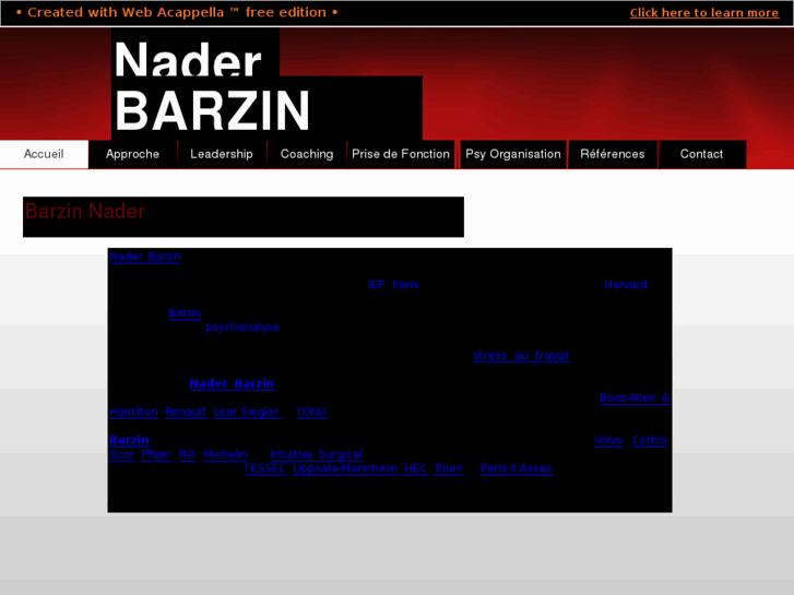 www.nader-barzin.com