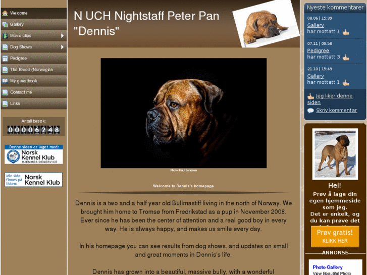 www.nightstaffpeterpan.com