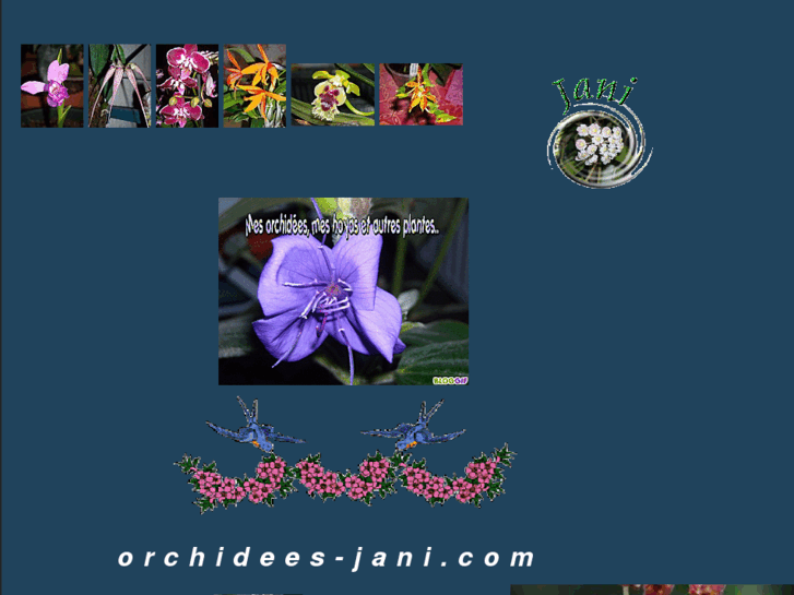 www.orchidees-jani.com