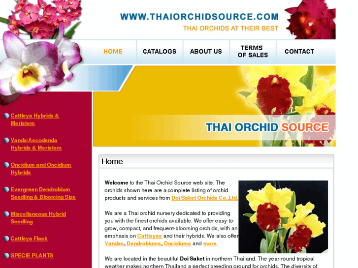 www.thaiorchidsource.com