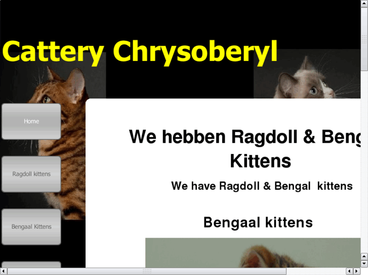 www.cattery-chrysoberyl.nl