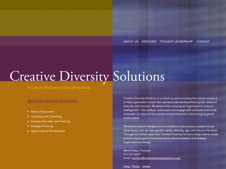 www.creativediversitysolutions.com