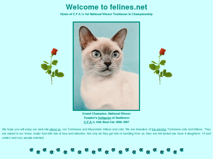 www.felines.net