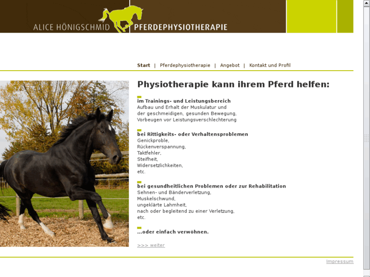 www.pferdephysio-alice.com