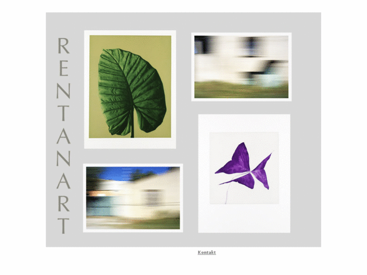 www.rent-an-art.net