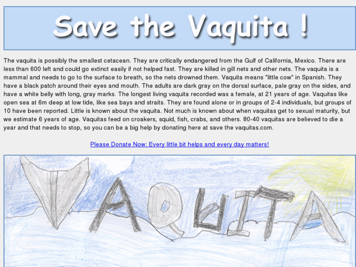 www.savethevaquita.com