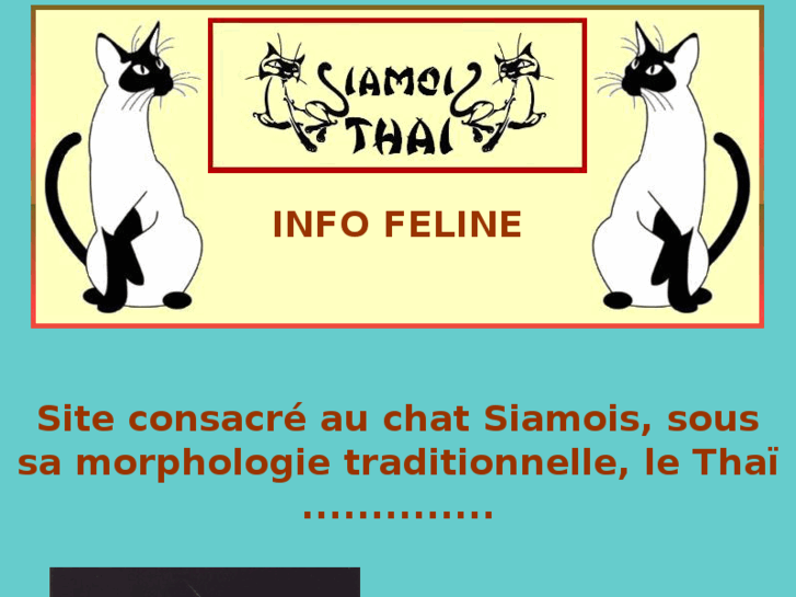 www.siamois-thai.info