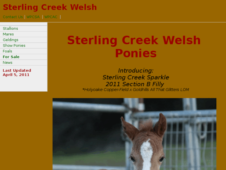 www.sterlingcreekwelsh.com