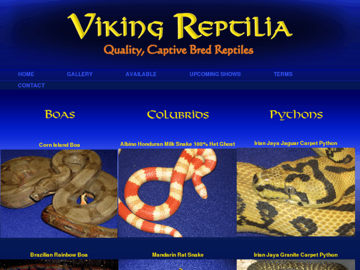 www.vikingreptilia.com