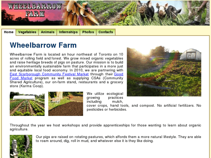 www.wheelbarrowfarm.com