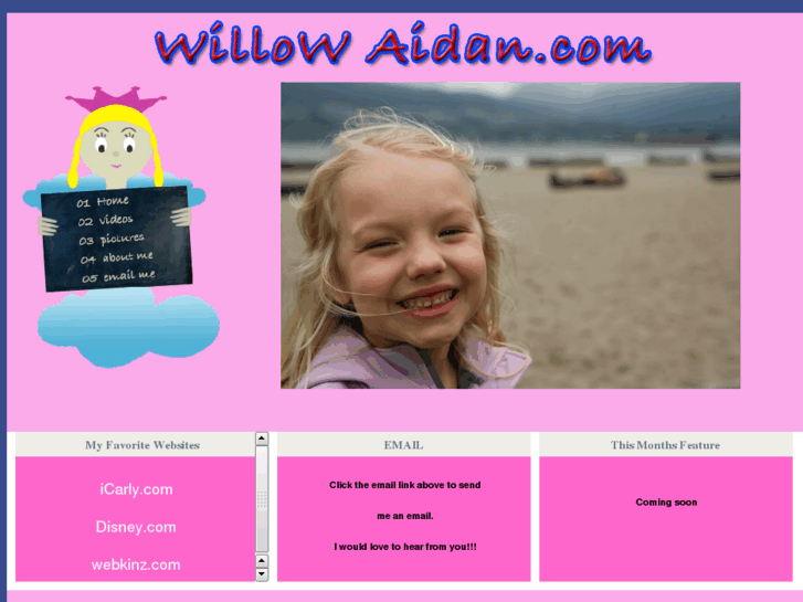 www.willowaidan.com