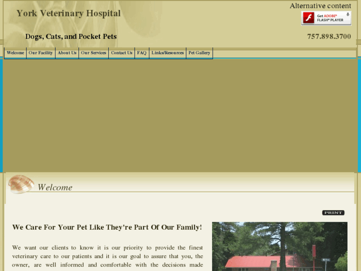 www.york-vet.com