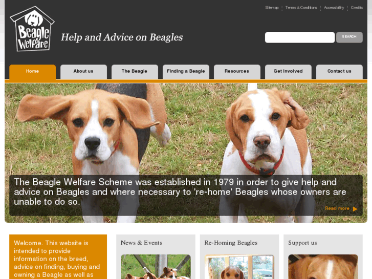 www.beagleadvice.org.uk