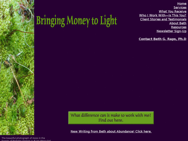 www.bringingmoneytolight.com