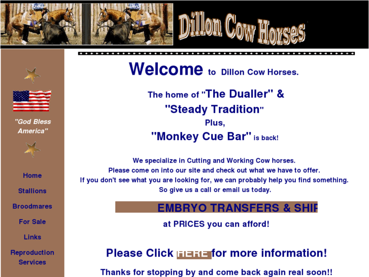 www.dilloncowhorses.com